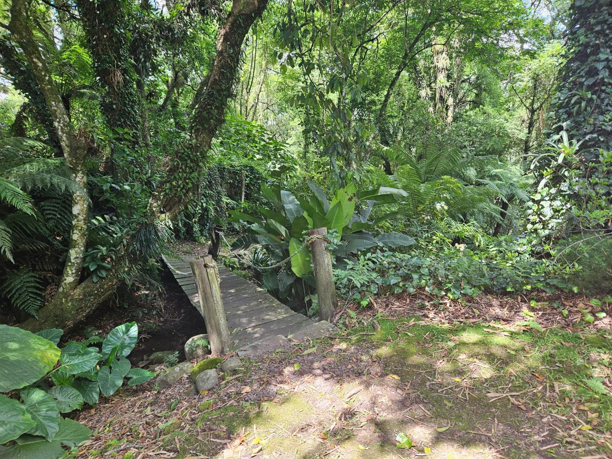 Cantinho Das Oliveiras. Gramado Buitenkant foto