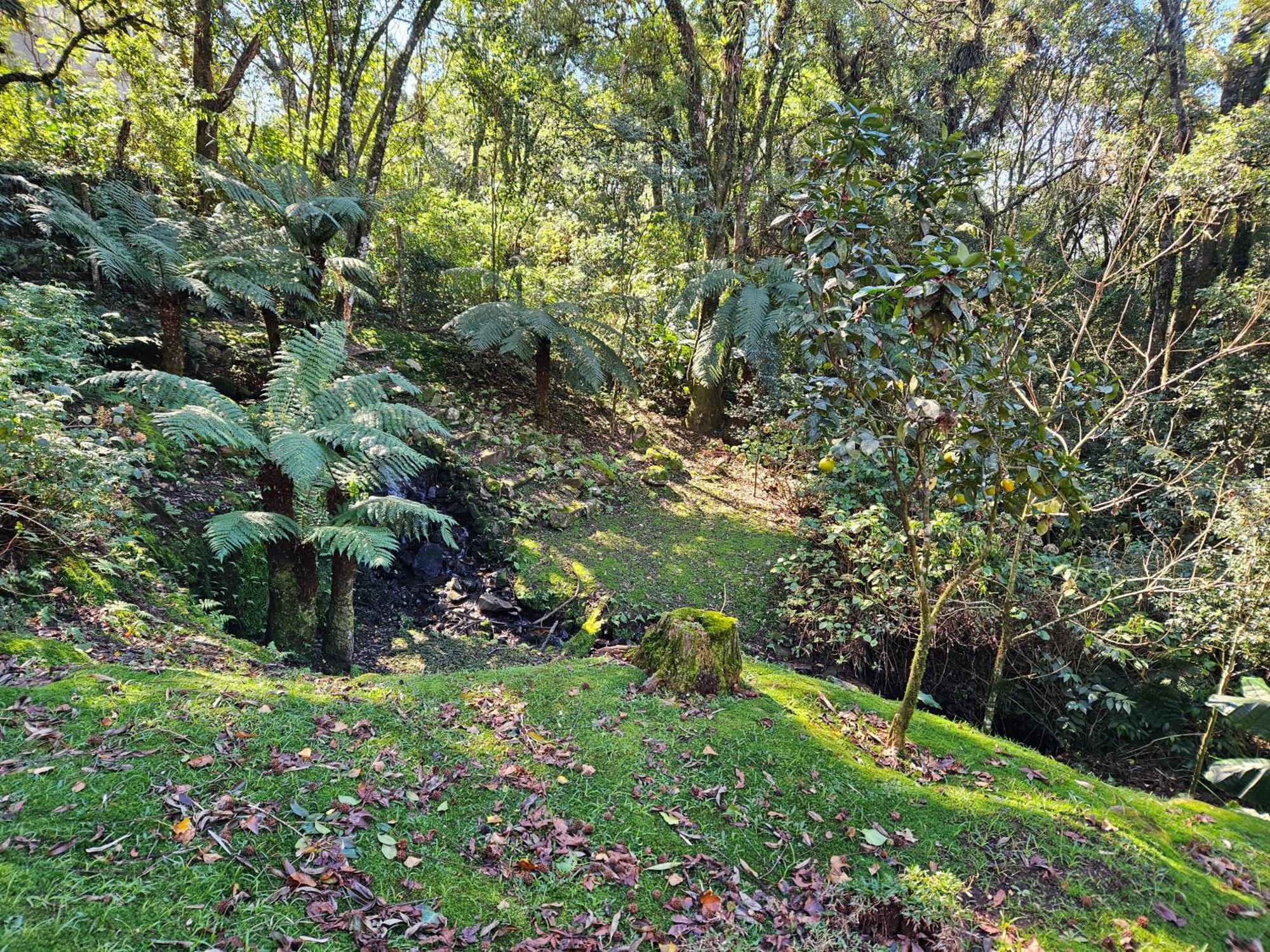 Cantinho Das Oliveiras. Gramado Buitenkant foto